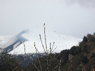 nte Cagliato-20110220 047